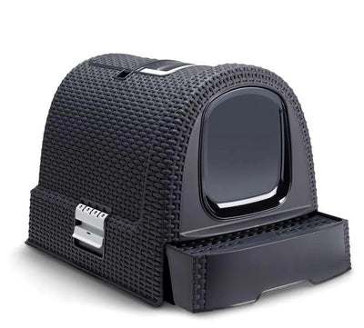 Toilets and accessories