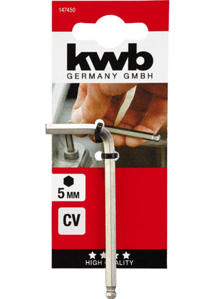 4009311474308