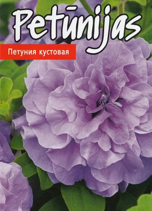 4750128415410