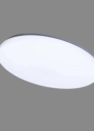 4772007006816