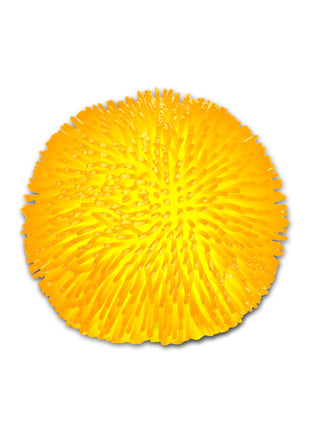 5038728157695
