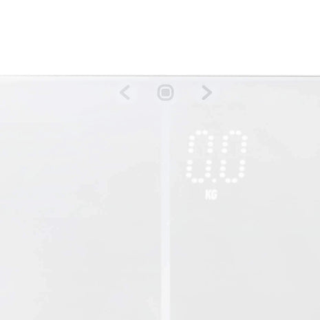 5054061484199