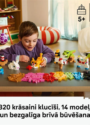5702018054772
