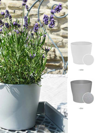 5906750941769