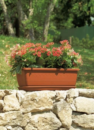 8000072219890